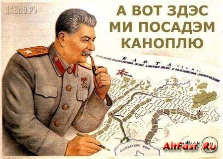 Stalinkonop_1f2e1.jpg